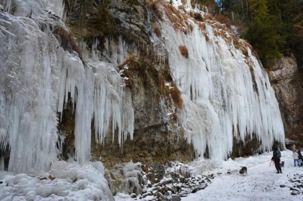 Apartment Rheintal Im Alpenvorland Batschuns Екстер'єр фото