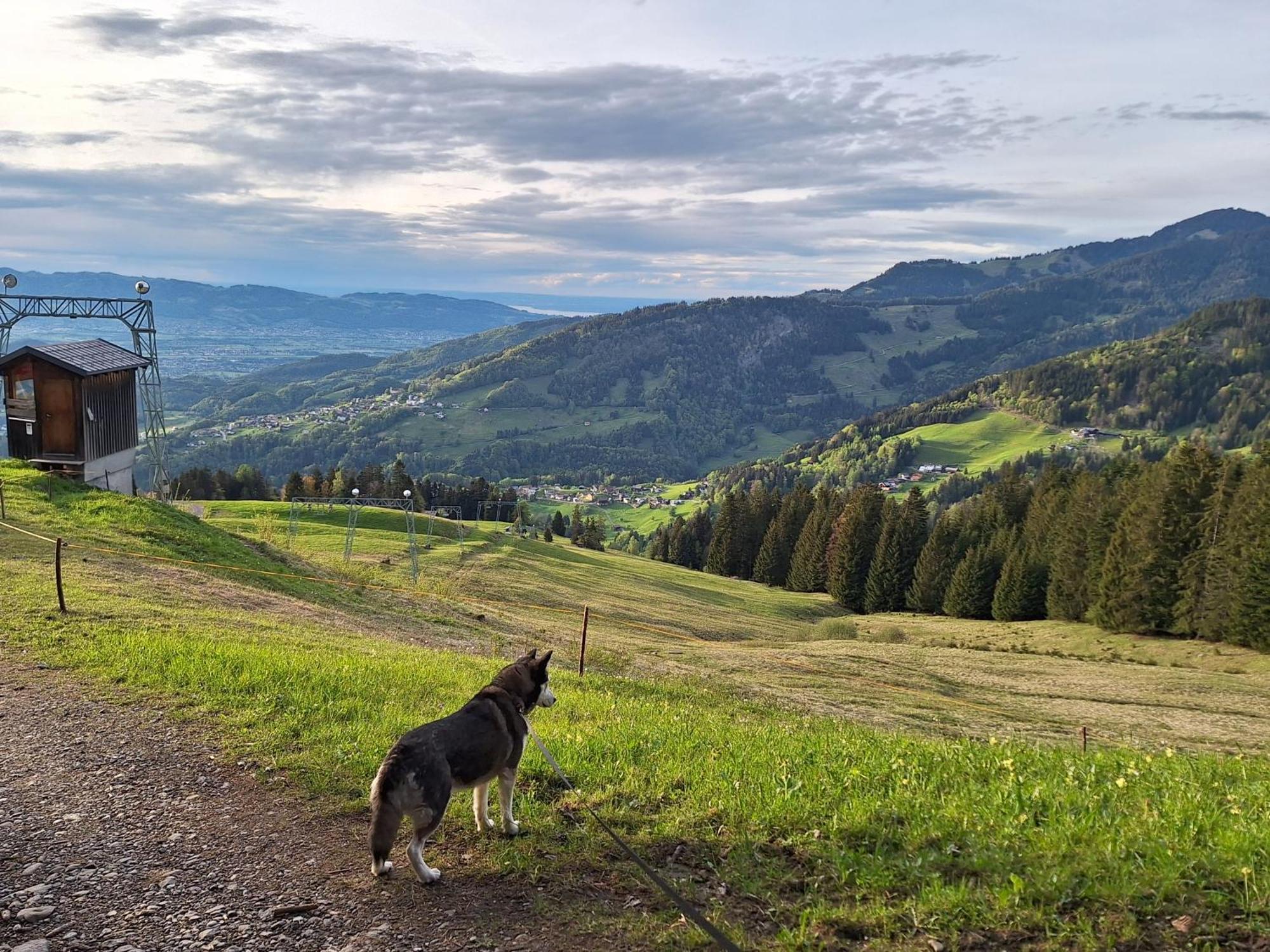 Apartment Rheintal Im Alpenvorland Batschuns Екстер'єр фото