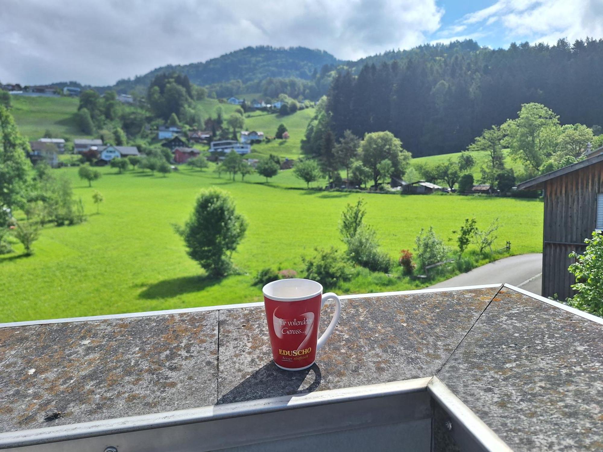 Apartment Rheintal Im Alpenvorland Batschuns Екстер'єр фото