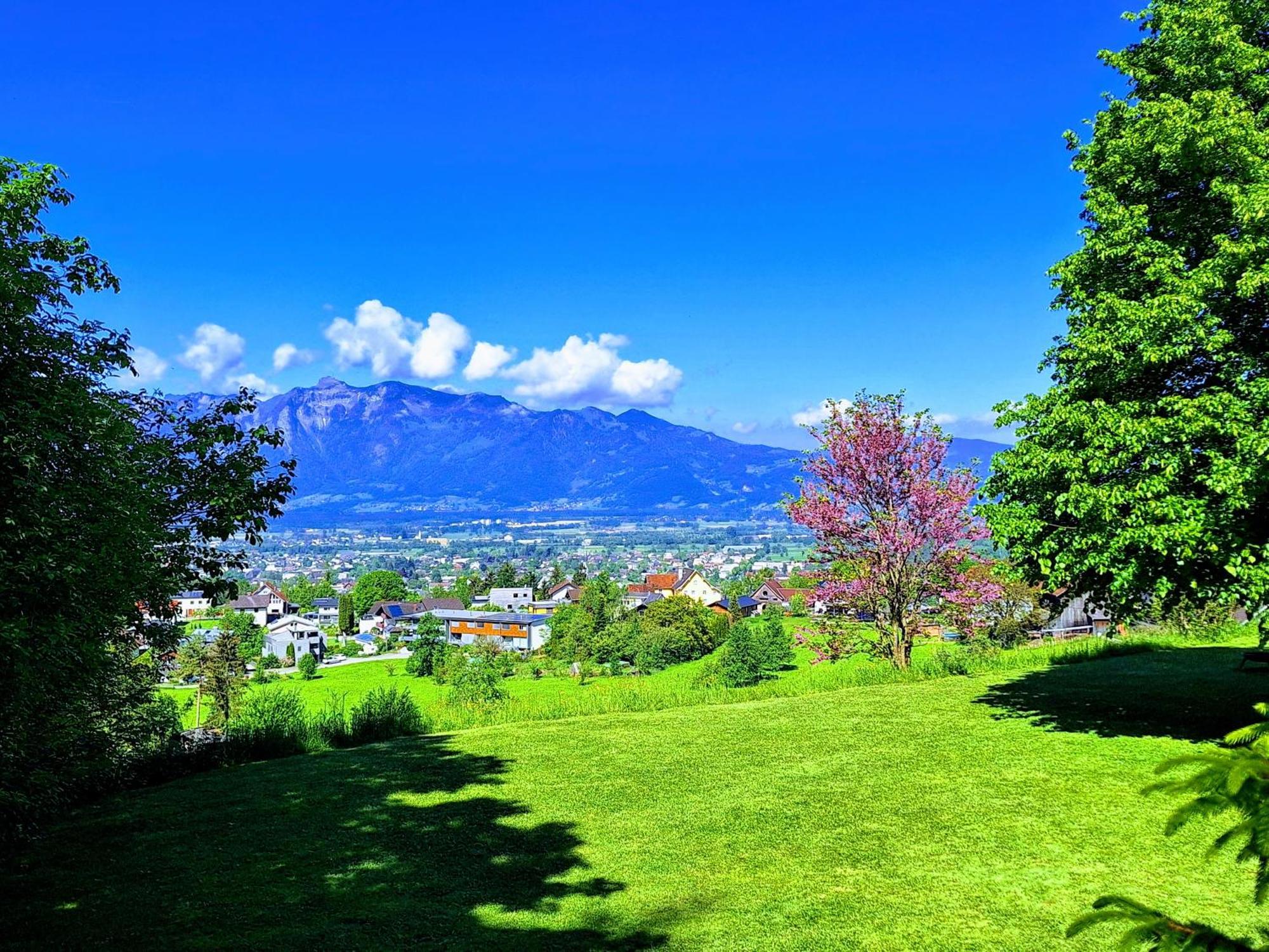 Apartment Rheintal Im Alpenvorland Batschuns Екстер'єр фото